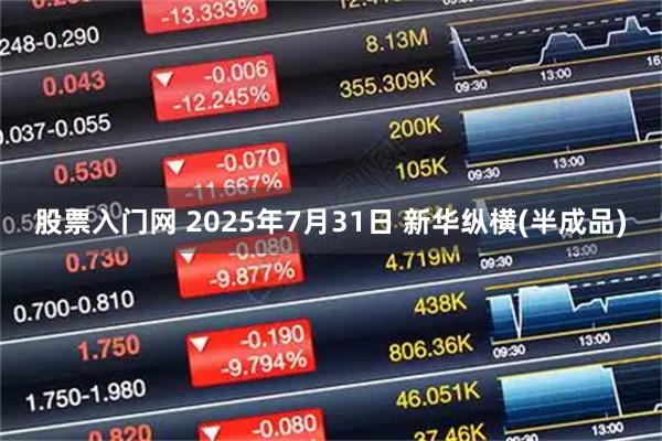股票入门网 2025年7月31日 新华纵横(半成品)