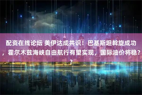 配资在线论坛 美伊达成共识！巴基斯坦斡旋成功，霍尔木兹海峡自由航行有望实现，国际油价将稳？